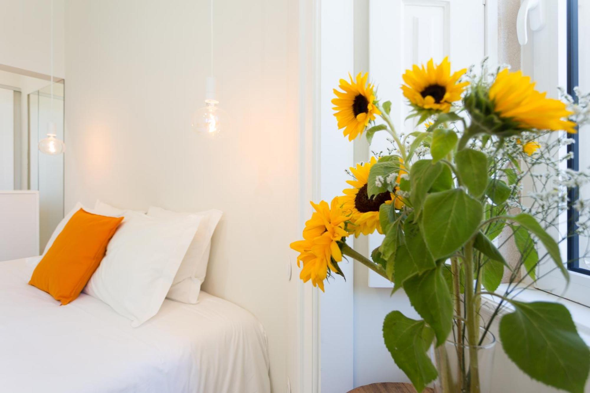 Vila Julieta Guesthouse Coimbra Zewnętrze zdjęcie