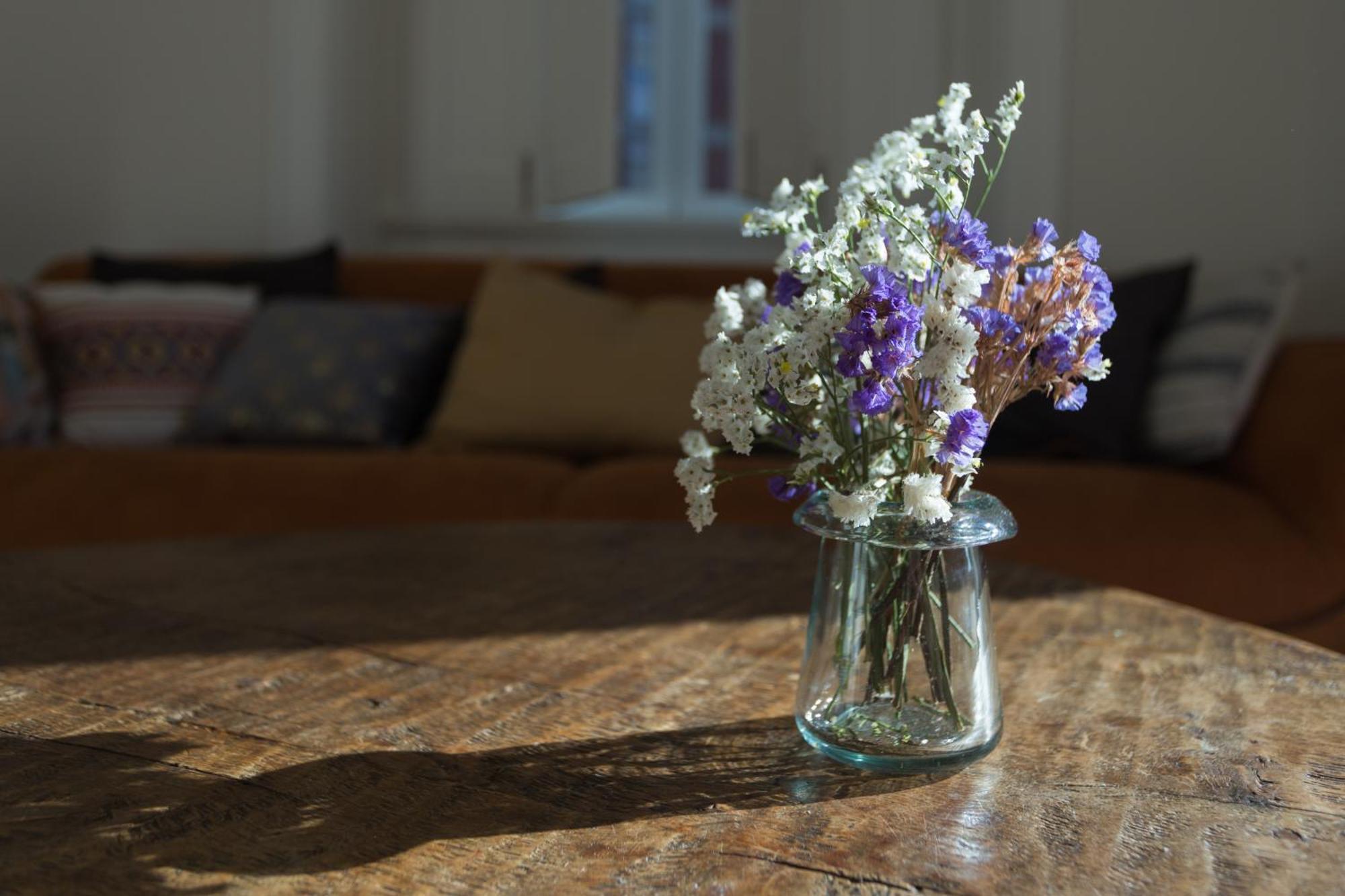 Vila Julieta Guesthouse Coimbra Zewnętrze zdjęcie